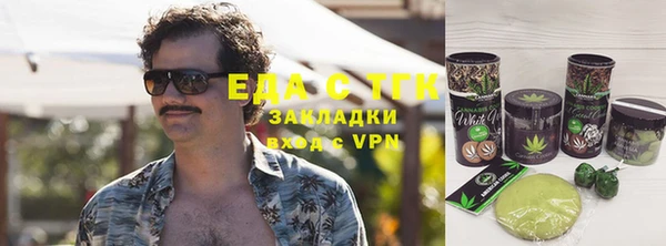 индика Горнозаводск