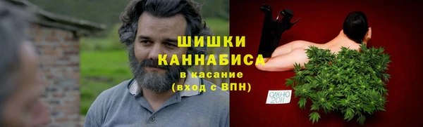 Альфа ПВП Гусев