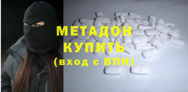 индика Горнозаводск