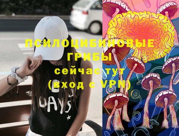 индика Горнозаводск