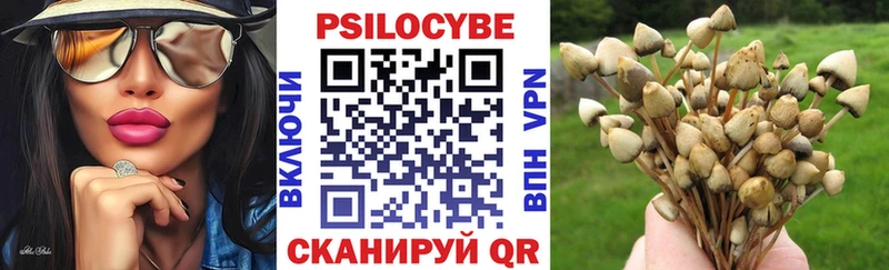 Купить закладки  Кола  Псилоцибиновые грибы Cubensis 